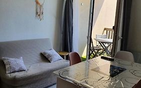 Apt Cosy, 4 Pers, Plein Centre Ville, Parking Offert